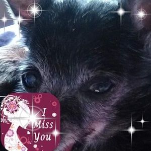 Meet your Posher, Betty